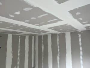IMG_6180 plasterceilings